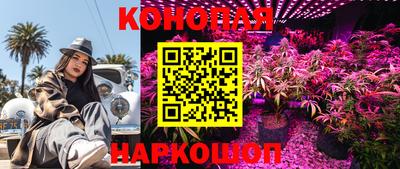 МДПВ Апшеронск