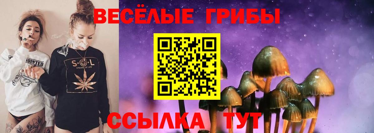 Псилоцибиновые грибы GOLDEN TEACHER Выкса